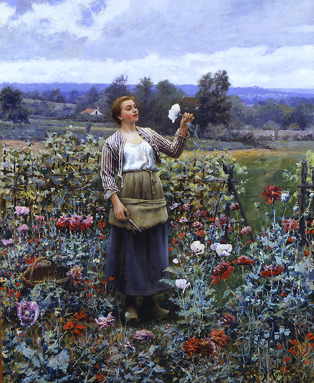 Picking Poppies